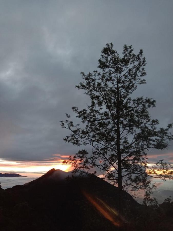 Forest Cyniciam Homestay Ohiya Exterior photo