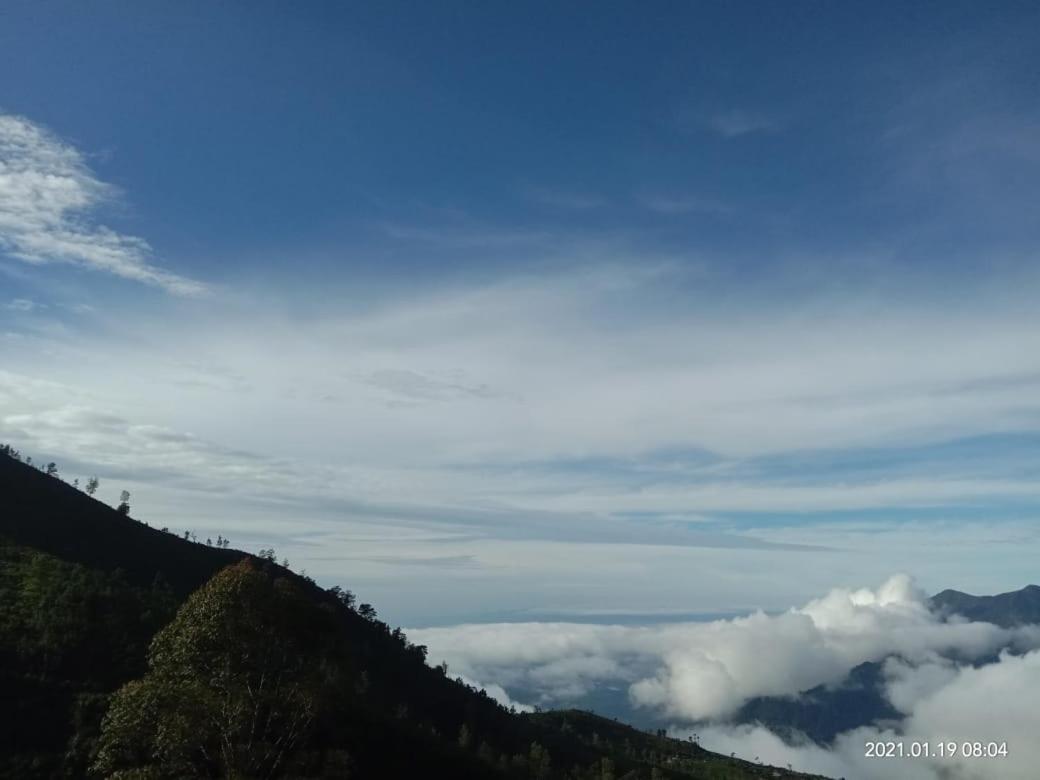 Forest Cyniciam Homestay Ohiya Exterior photo