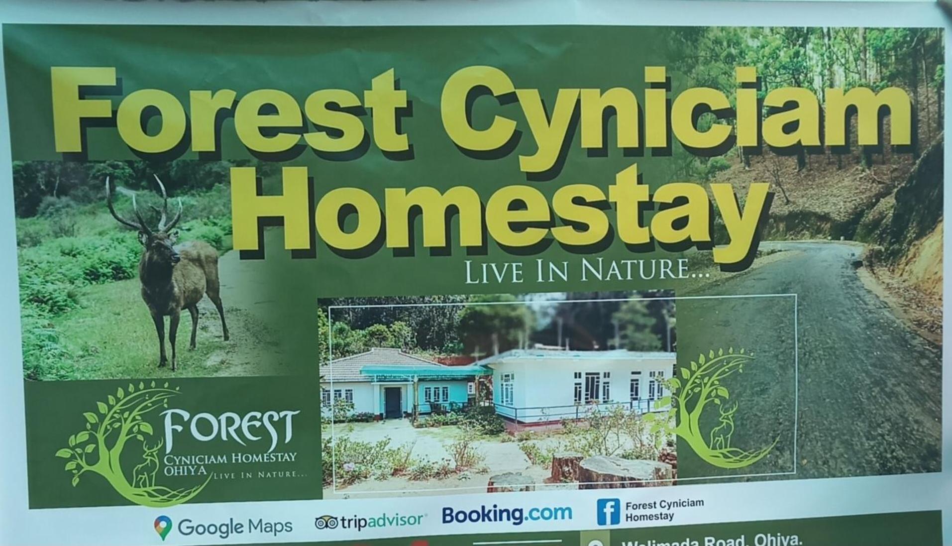 Forest Cyniciam Homestay Ohiya Exterior photo