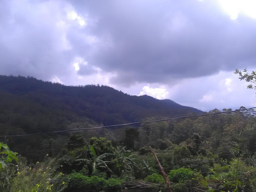 Forest Cyniciam Homestay Ohiya Exterior photo
