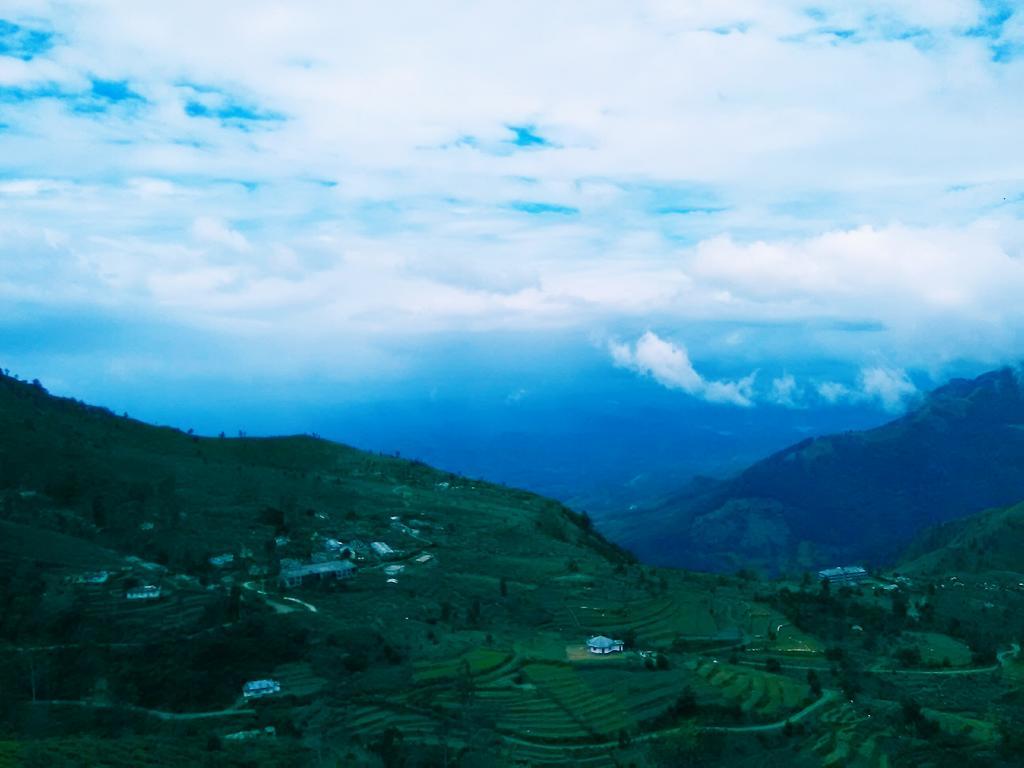 Forest Cyniciam Homestay Ohiya Exterior photo